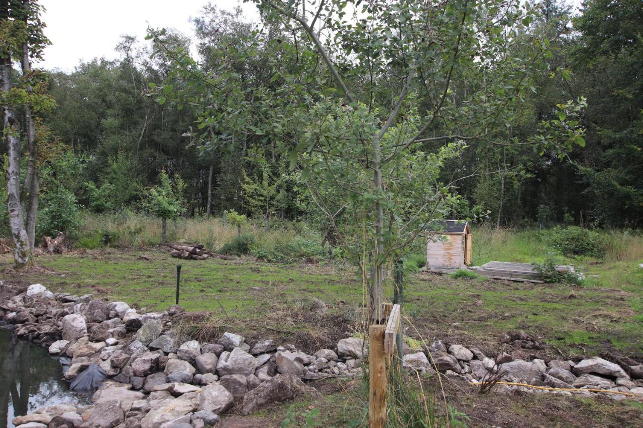Serene Countryside Home With Manicured Gardens Stonehaven Εξωτερικό φωτογραφία
